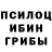 Псилоцибиновые грибы мухоморы Anthony Leonardo