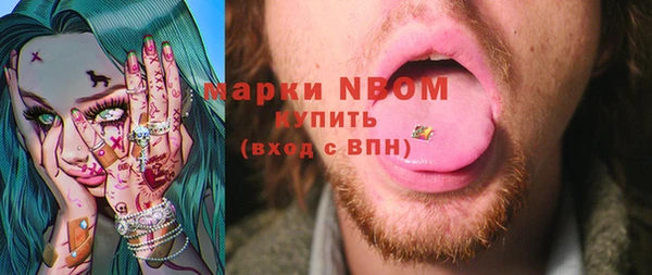 сатива Липки