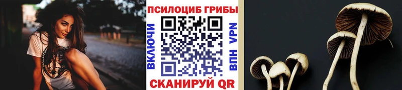 хочу   Теберда  Галлюциногенные грибы MAGIC MUSHROOMS 